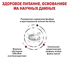 Сухой корм-диета Royal Canin Renal для взрослых кошек при почечной недостаточности 400гр., фото 3
