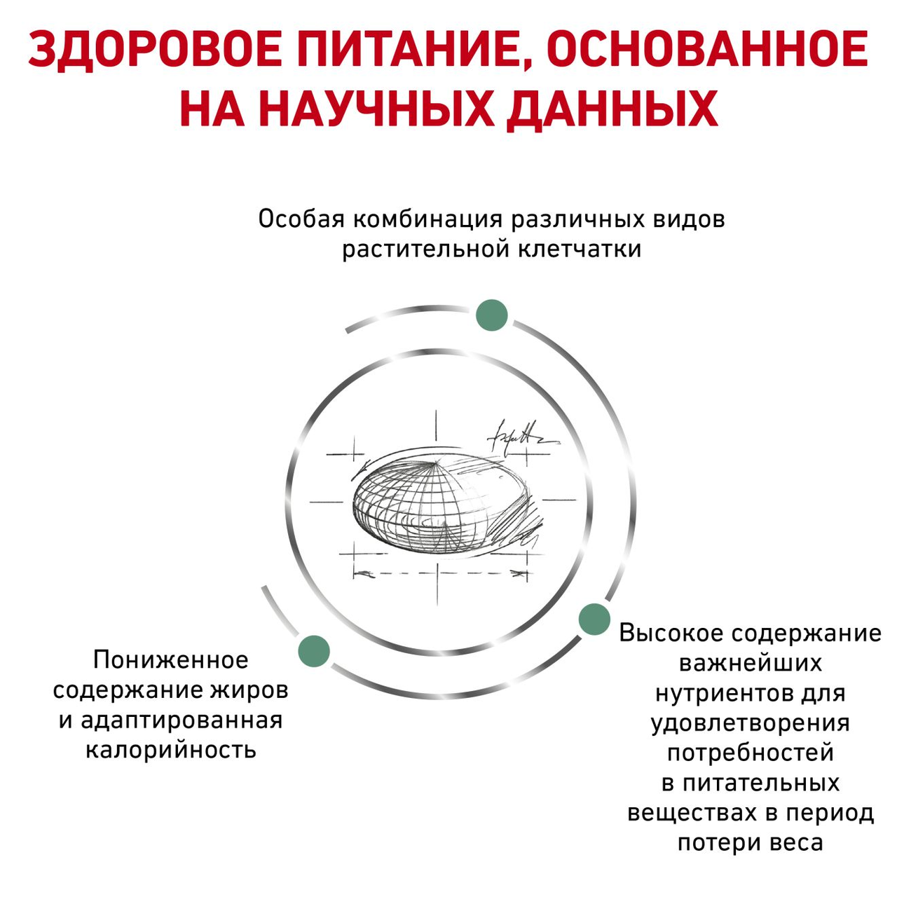 Royal Canin SATIETY WEIGHT MANAGEMENT сухой корм диетический для взрослых кошек, 1,5кг, (Франция) - фото 3 - id-p224302439