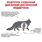 Сухой корм-диета Royal Canin Mobility для улучшения подвижности суставов у взрослых кошек 400гр., фото 3