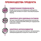 Сухой корм-диета Royal Canin Mobility для улучшения подвижности суставов у взрослых кошек 400гр., фото 4