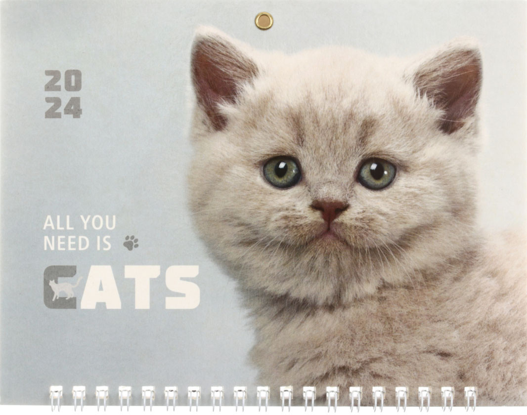Календарь настенный квартальный на 2024 год OfficeSpace Mini Premium «Пушистый котенок»