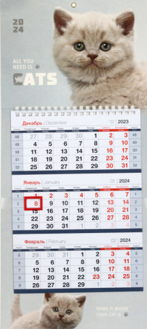 Календарь настенный квартальный на 2024 год OfficeSpace Mini Premium «Пушистый котенок» - фото 2 - id-p224302815