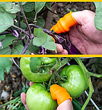 Садовый нож секатор на палец для сада и огорода Ноготок (напальчник, обрезчик) (набор из 6 предметов), фото 8