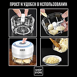 Портативный измельчитель кухонный Трейси, 250 ml, фото 2