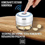 Портативный измельчитель кухонный Трейси, 250 ml, фото 8