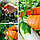 Садовый нож секатор на палец для сада и огорода Ноготок (напальчник, обрезчик) (набор из 6 предметов), фото 3