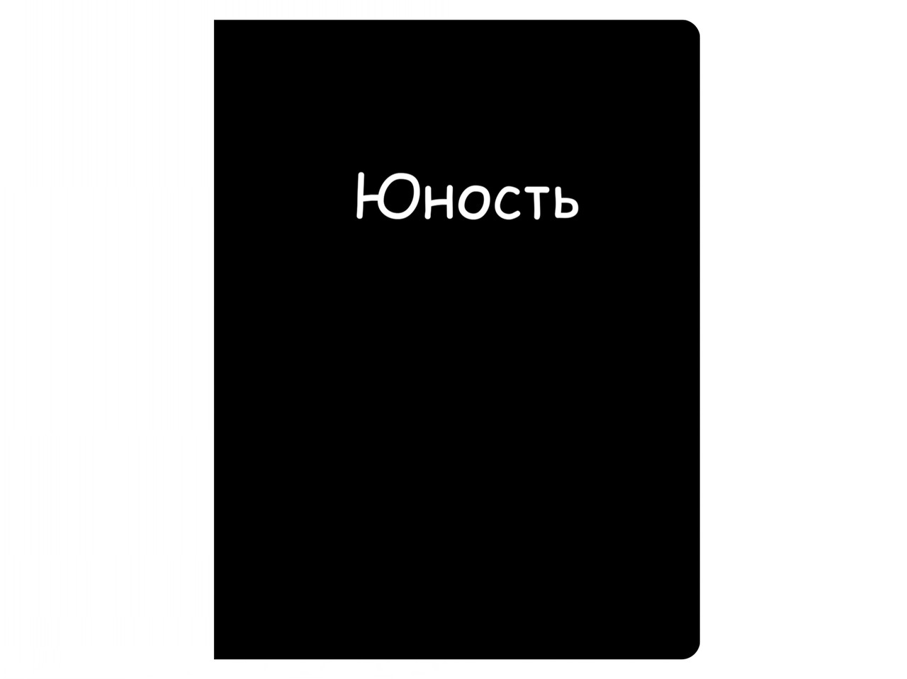 Обложка для паспорта ПВХ "Юность"