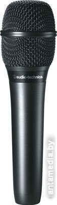 Микрофон Audio-Technica AT2010 - фото 1 - id-p224313001