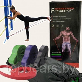 Набор эспандеров (резиновых петель) 208 см Fitness sport для фитнеса, йоги, пилатеса (4 шт с инструкцией) - фото 1 - id-p179744056