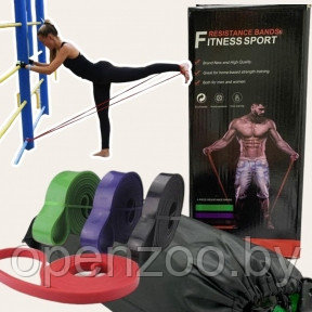 Набор эспандеров (резиновых петель) 208 см Fitness sport для фитнеса, йоги, пилатеса (4 шт с инструкцией) - фото 1 - id-p207594665