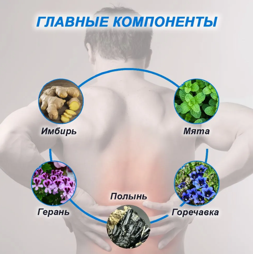 Пластырь обезболивающий для спины Hyllis / патч поясничный травяной 10 шт. в упаковке - фото 6 - id-p224287521