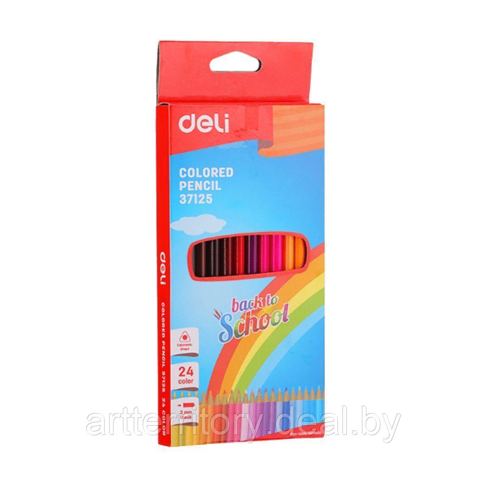 Карандаши цветные DELI Colored Pencils "Back to School", 24 цвета - фото 1 - id-p224314256