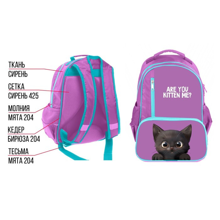 Рюкзак школьный, 37 х 26 х 13 см, эргономичная спинка, Calligrata ОРТ "Котик черный" - фото 1 - id-p224314376