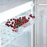 Двухкамерный холодильник-морозильник Snaige 	 RF56SM-S5MP2F, фото 6