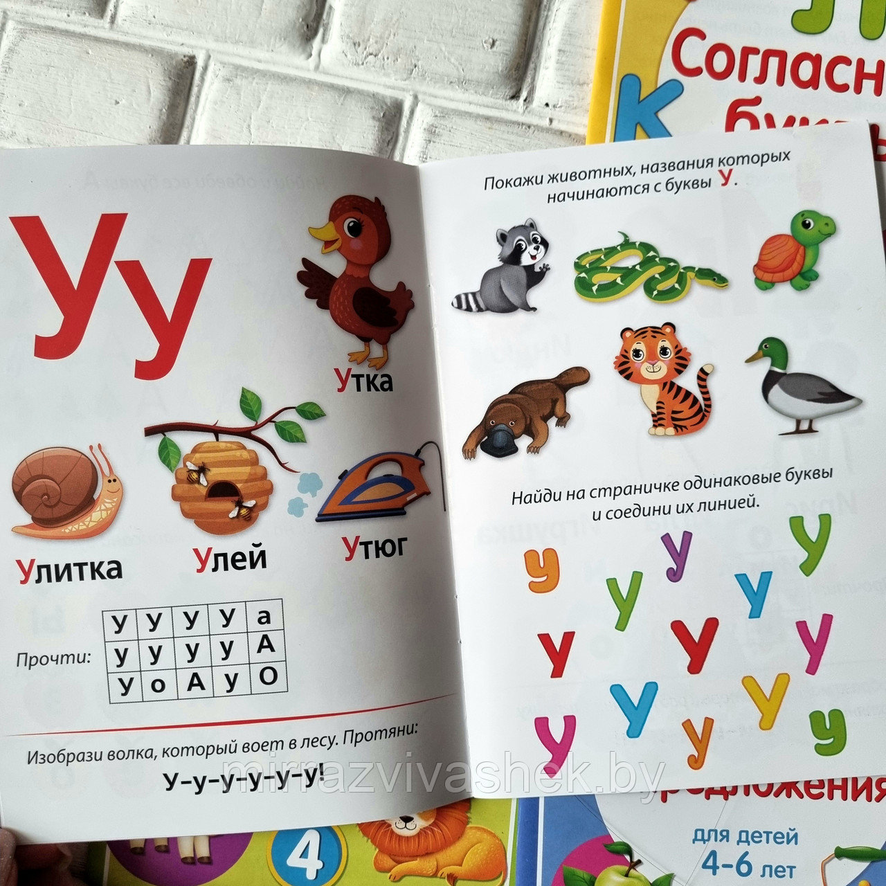 Набор для обучения чтению детей 4 - 6 лет - фото 4 - id-p204523054