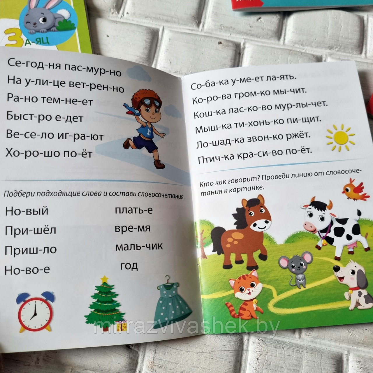 Набор для обучения чтению детей 4 - 6 лет - фото 8 - id-p204523054