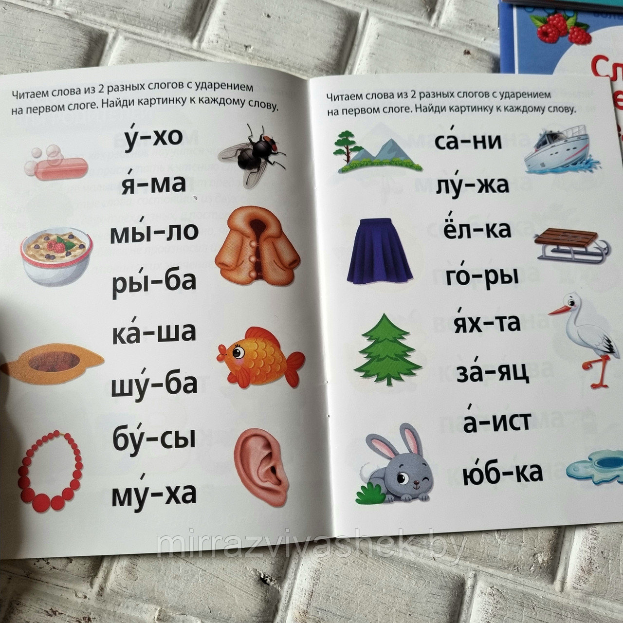 Набор для обучения чтению детей 4 - 6 лет - фото 7 - id-p204523054