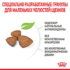 Сухой корм Royal Canin X-Small Puppy для щенков очень мелких собак 500гр., фото 2