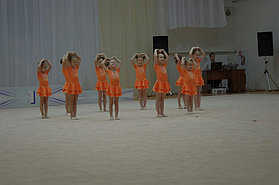 Купальники гимнастика 2