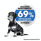 Сухой корм Royal Canin X-Small Light Weight Care для взрослых и стареющих собак миниатюрных размеров 500гр., фото 2