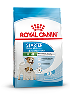 Royal Canin Mini Starter сухой корм для взрослых собак мелких размеров, 1кг., (Россия)