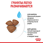Сухой корм Royal Canin Mini Starter Mother & Babydog для щенков и собак мелких пород в период лактации1кг., фото 2