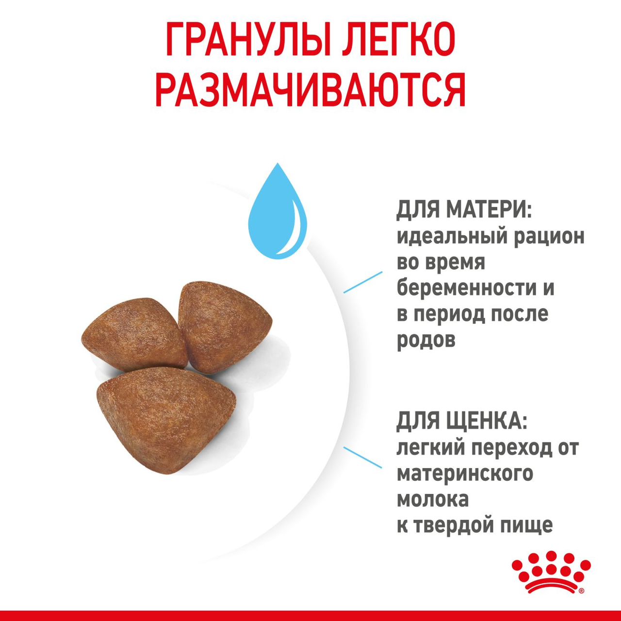 Royal Canin Mini Starter сухой корм для взрослых собак мелких размеров, 1кг., (Россия) - фото 2 - id-p224367786