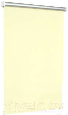 Рулонная штора Delfa Сантайм Термо-Блэкаут СРШ-01М С1002 - фото 1 - id-p224370751