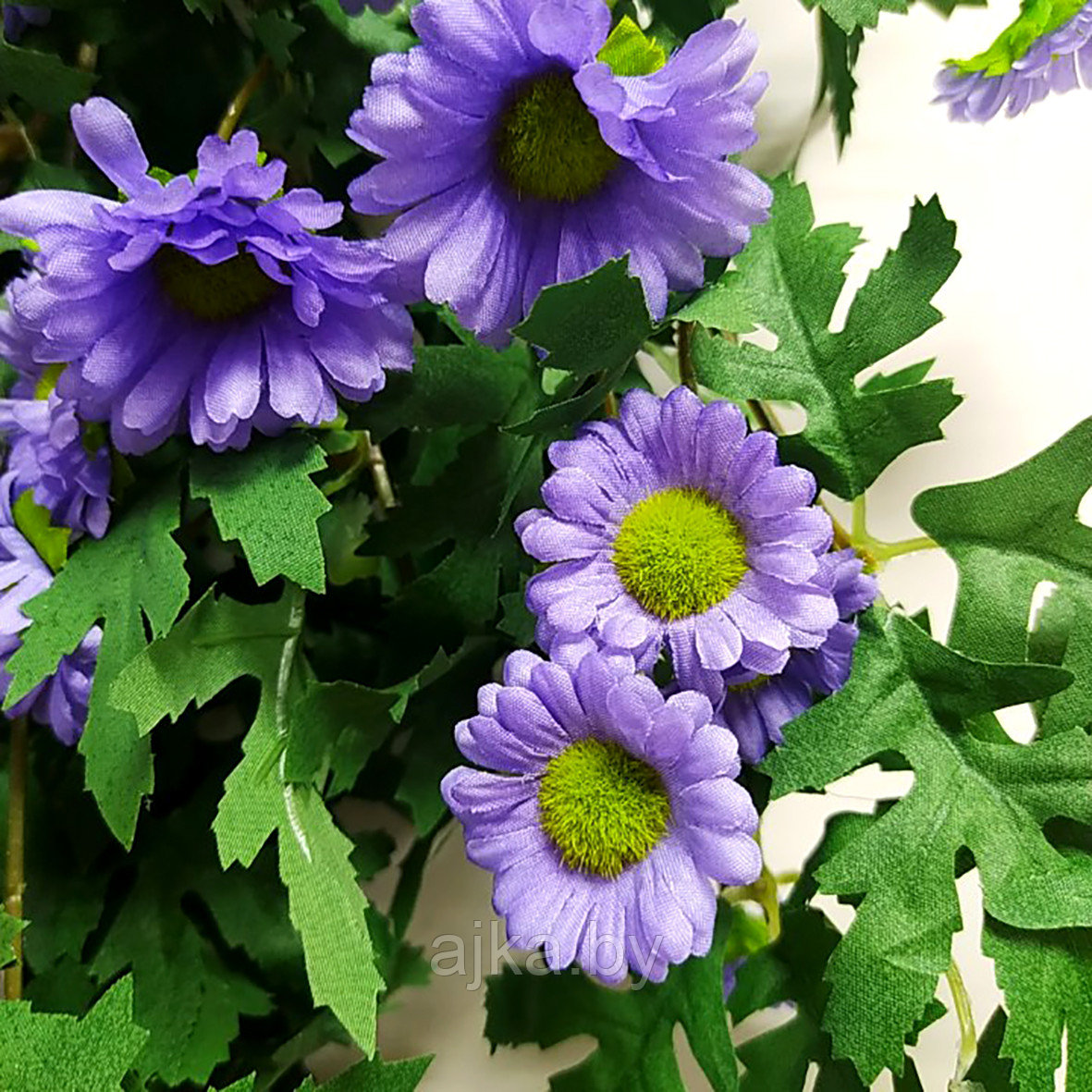 Хризантема ампельная 88 см, фиолетовый - фото 6 - id-p224374359