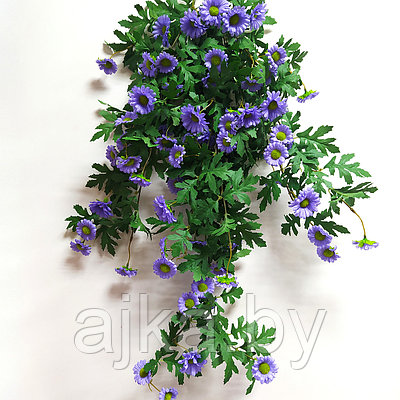 Хризантема ампельная 88 см, фиолетовый