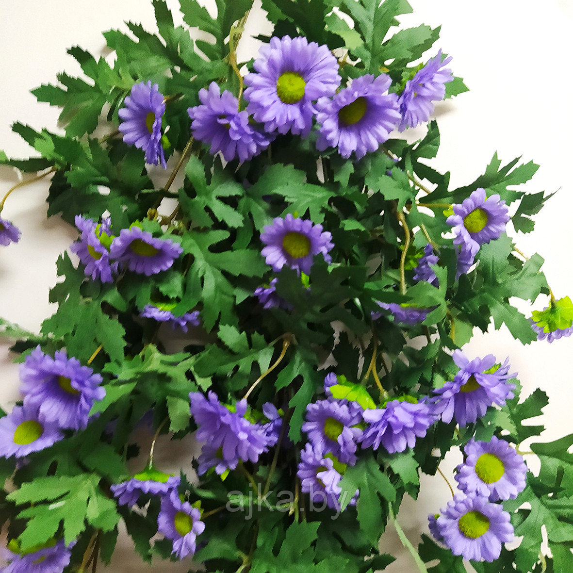 Хризантема ампельная 88 см, фиолетовый - фото 2 - id-p224374359