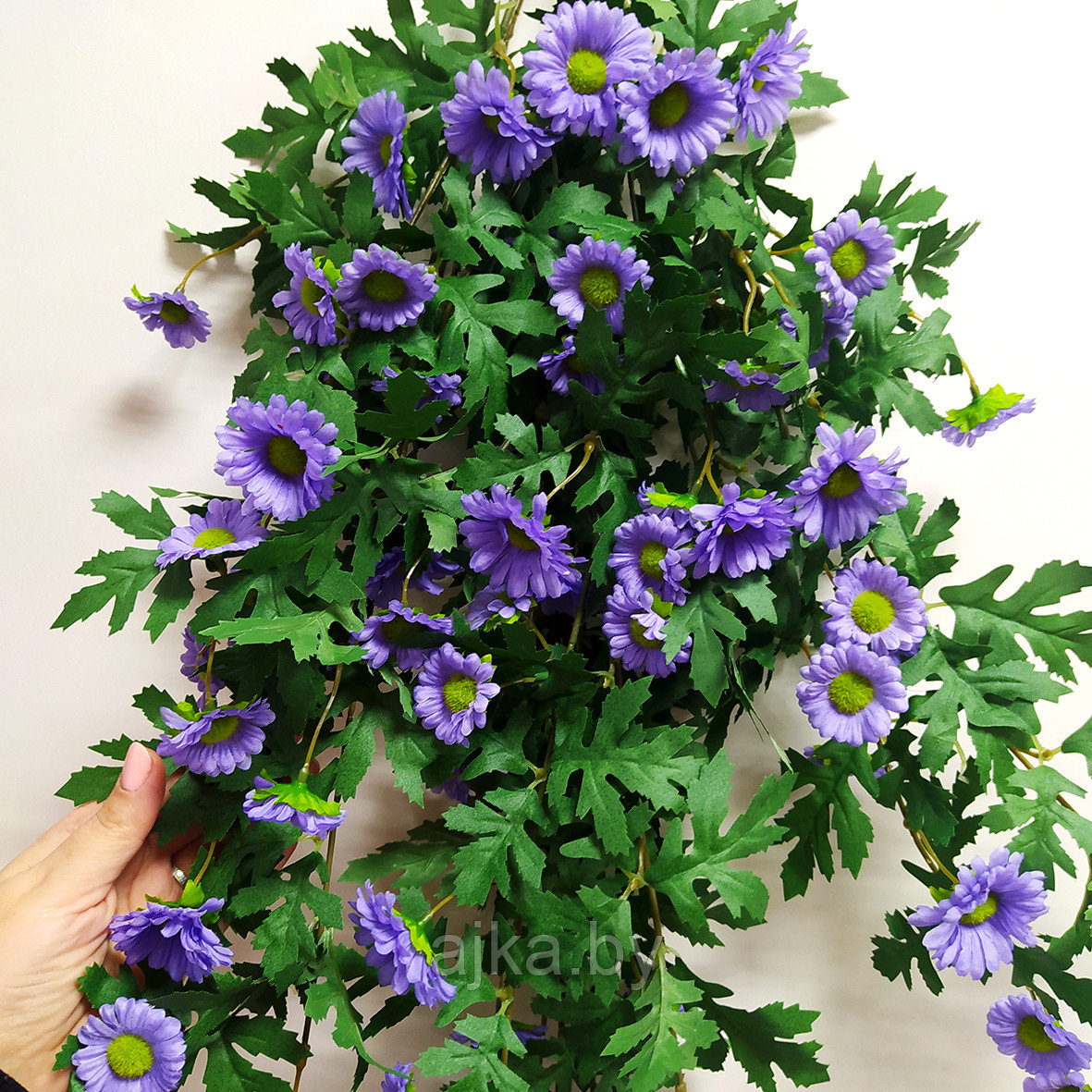 Хризантема ампельная 88 см, фиолетовый - фото 10 - id-p224374359
