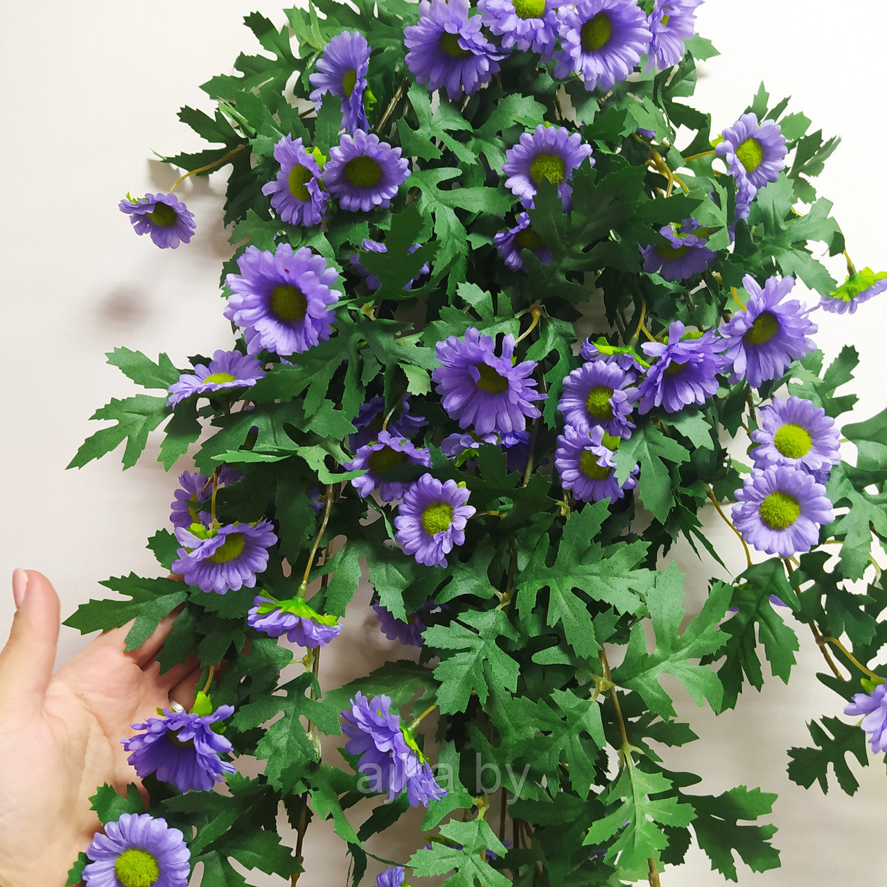 Хризантема ампельная 88 см, фиолетовый - фото 5 - id-p224374359