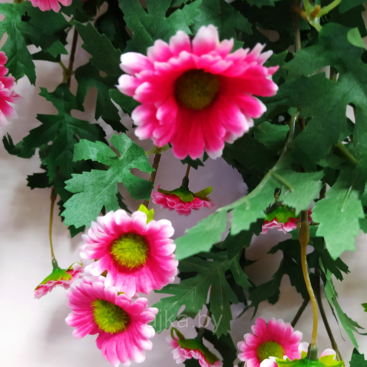 Хризантема ампельная 88 см, розовый - фото 4 - id-p224374393