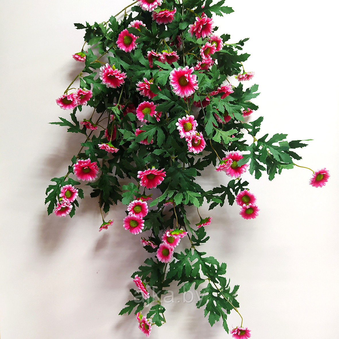 Хризантема ампельная 88 см, розовый
