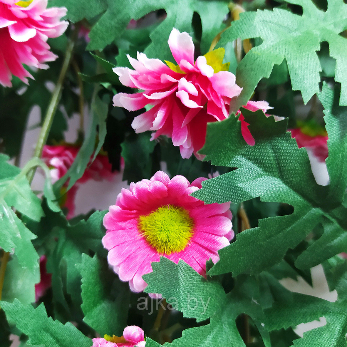 Хризантема ампельная 88 см, розовый - фото 5 - id-p224374393