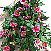 Хризантема ампельная 88 см, розовый, фото 2