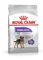 Royal Canin Mini Sterilised сухой корм для взрослых стерилизованных собак мелких размеров, 3кг (Россия)