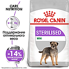 Сухой корм Royal Canin Mini Sterilised для взрослых стерилизованных собак мелких размеров 3кг., фото 2