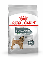 Royal Canin Mini Dental Care сухой корм для взрослых и стареющих собак мелких размеров 3кг., (Россия)
