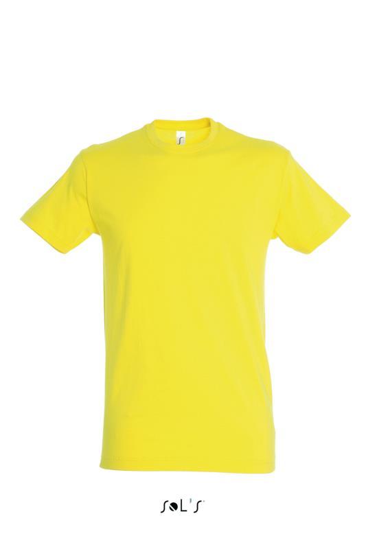 Фуфайка (футболка) REGENT мужская,Лимонный XXL - фото 1 - id-p224384109