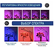 Светодиодная Фитолампа для растений и рассады на прищепке (1 лепесток), фото 3