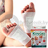 Детоксикационный пластырь Киноки Kinoki  CE Foot Patch(10 патчей), фото 2