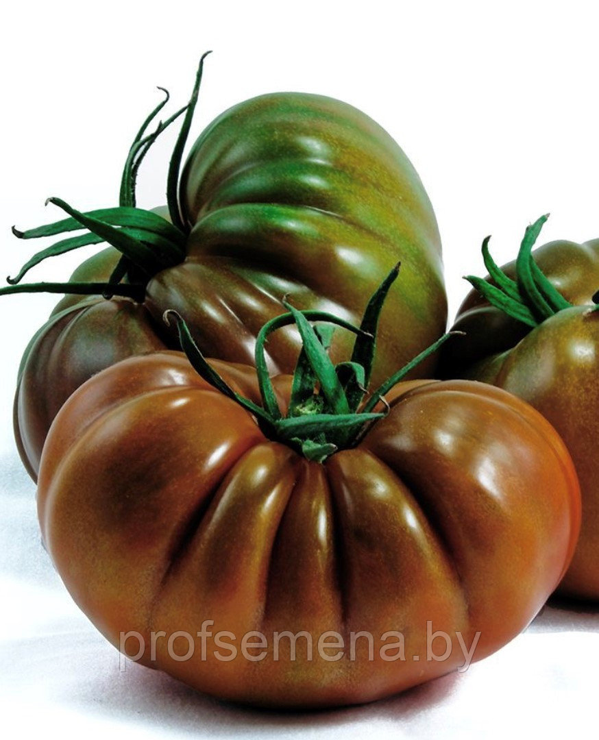 Деладо F1 коричневый томат, семена, 500 шт., Minami Seeds, (чп) - фото 1 - id-p224397956