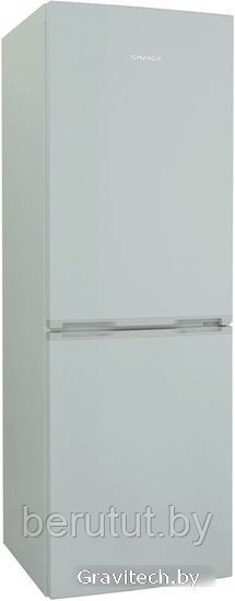 Двухкамерный холодильник-морозильник Snaige RF53SM-S5MP2F - фото 3 - id-p224403204