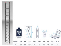 Лестница алюминиевая односекционная 316см, 12 ступеней, 5.2кг STARTUL ST9945-12