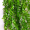 Зелень ампельная Фисташка 115 см, фото 3