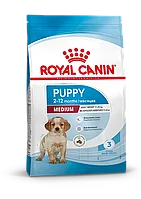 Royal Canin Medium Puppy, сухой корм для щенков пород средних размеров, 14кг., (Россия)
