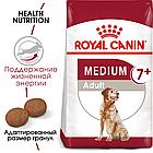Сухой корм Royal Canin Medium Adult 7+  для взрослых собак средних размеров старше 7 лет 4кг., фото 2