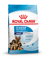 Royal Canin Maxi Starter mother & babydog, сухой корм для щенков пород крупных размеров, 4кг., (Россия)